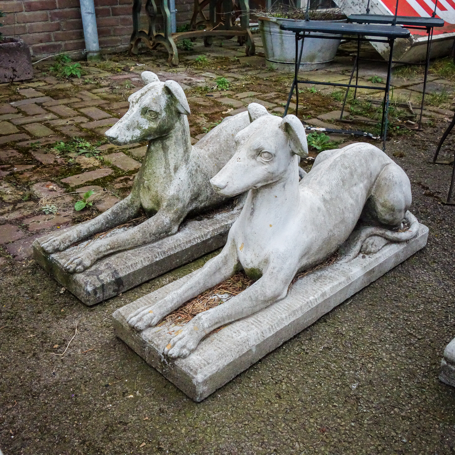 Betonnen Tuinbeelden - Greyhounds Assortiment Vivre Interieur Authentique